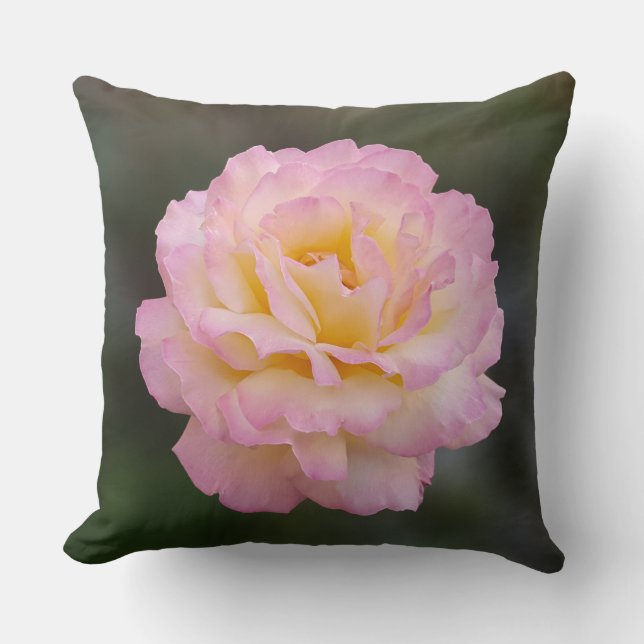 Rosa Rosa Kissen (Vorderseite)