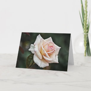 Rosa Rosa-Kunstkarte erröten Karte