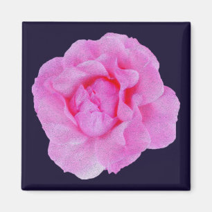 Rosa Rosa Magnet
