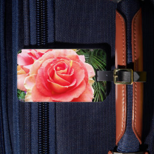 Rosa rosa nah-up Foto schön stilvoll modern Gepäckanhänger