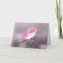 Rosa-Rosa-Note Karte