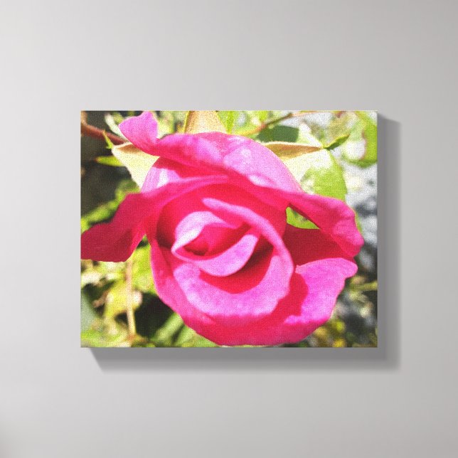 Rosa Rosa Nr. 2 Leinwanddruck (Vorderseite)
