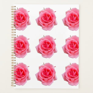 Rosa Rosa Planer