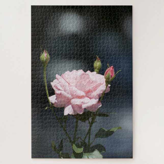 Rosa Rosa Puzzle (Vertikal)