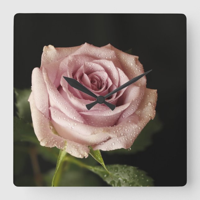 Rosa Rosa Quadratische Wanduhr (Vorderseite)