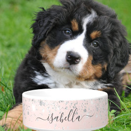 Rosa Rosa Rosa Silbersilber Glitzer Staubname Napf