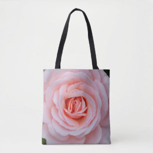 Rosa Rosa Schönheit