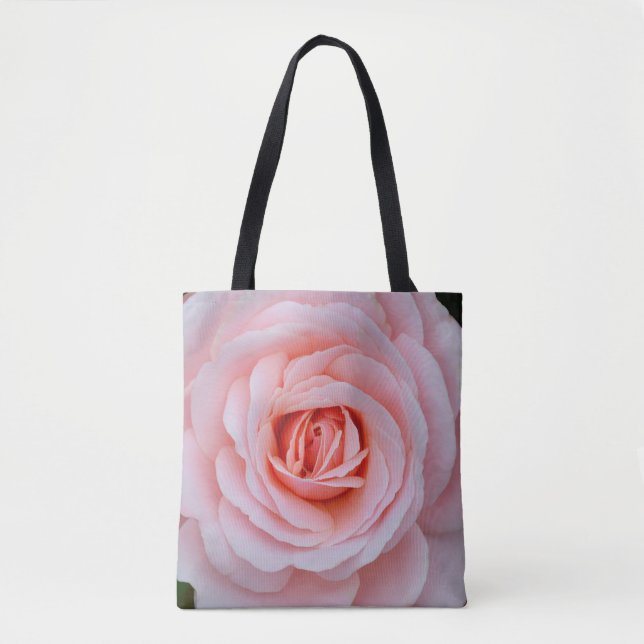 Rosa Rosa Schönheit (Vorderseite)
