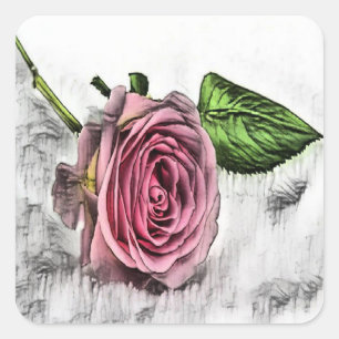 Rosa Rosa Skizze Blume Quadratischer Aufkleber
