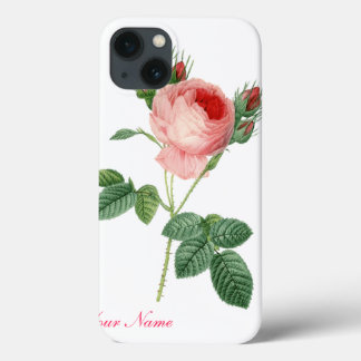 Rosa rosa Vintage botanische Abbildung iPhone 13 Hülle