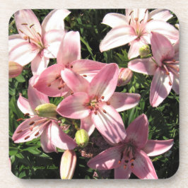 Rosa, Rosa-weiße asiatische Lilien Getränkeuntersetzer
