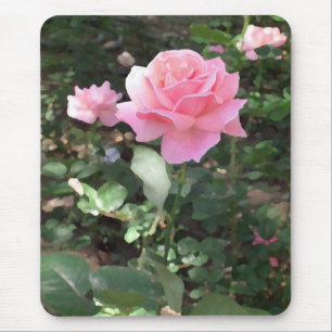 Rosa Rose 1 Mousepad