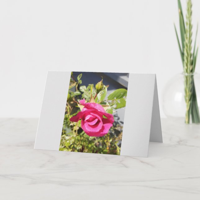 Rosa Rose #2 geklappt Danke Karte (Vorderseite)