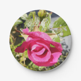 Rosa Rose #2 Pappteller
