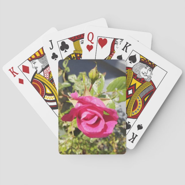 Rosa Rose #2 Spielkarten (Rückseite)
