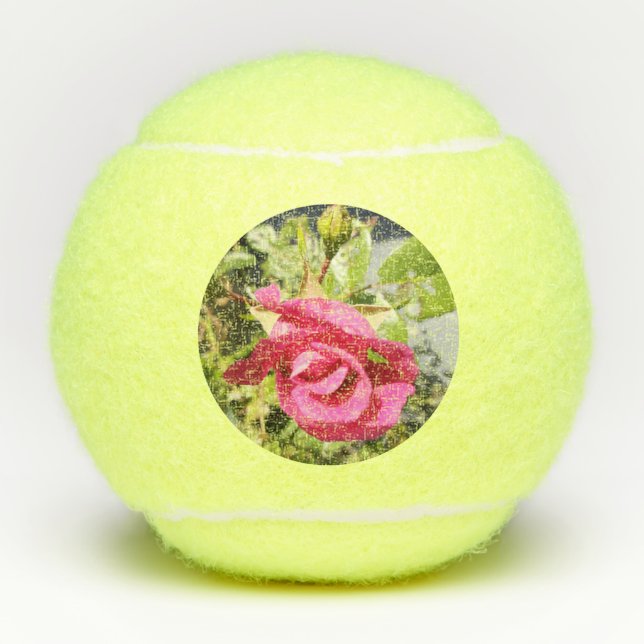 Rosa Rose #2 Tennisbälle (Vorderseite)
