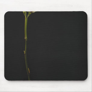 Rosa Rose 3 Mousepad