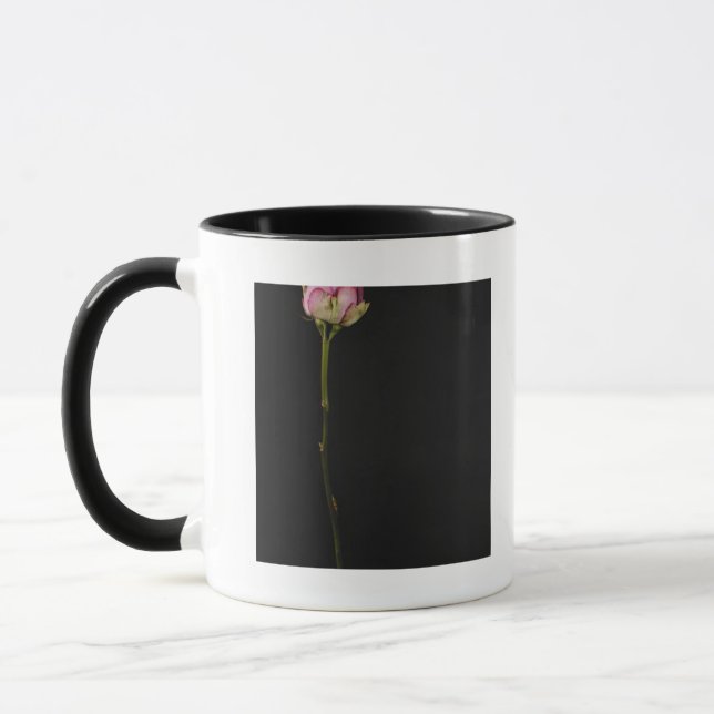 Rosa Rose 3 Tasse (Links)