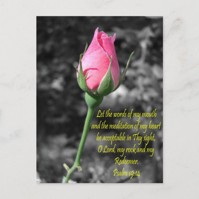 Rosa Rose 4 Psalm 19:14 Postkarte (Vorderseite)
