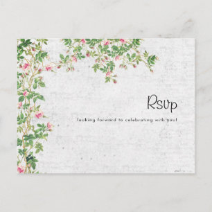 Rosa Rose Alte Wand Vintage Stilzeitschrift Hochze Postkarte