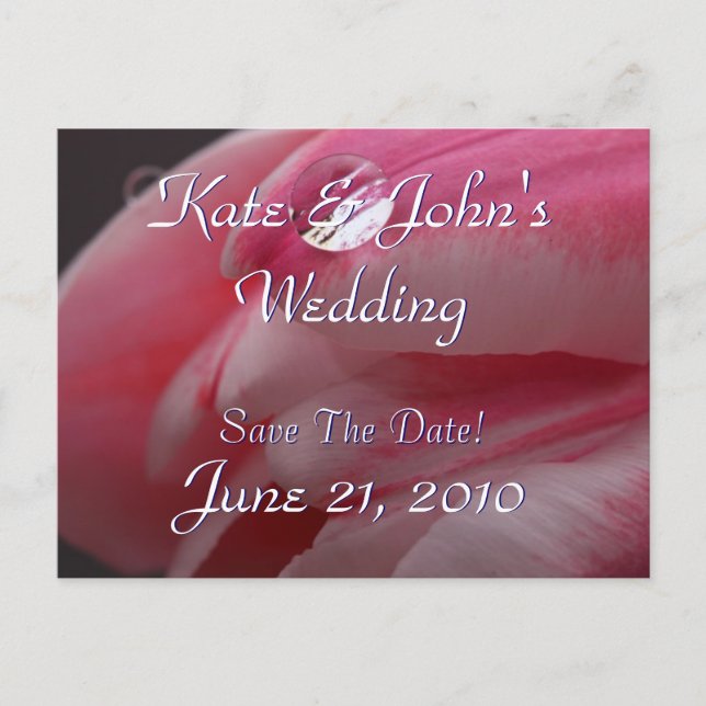 Rosa Rose Ankündigungspostkarte (Vorderseite)