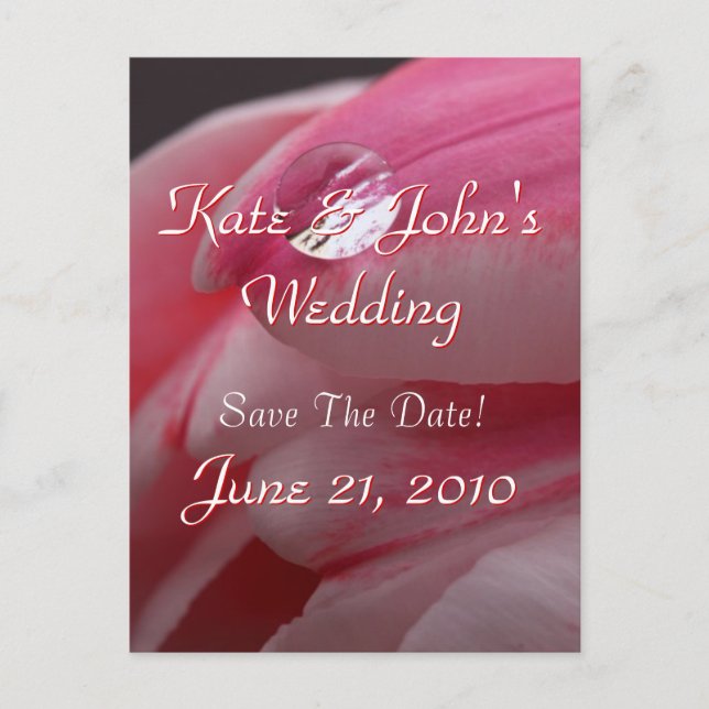 Rosa Rose Ankündigungspostkarte (Vorderseite)