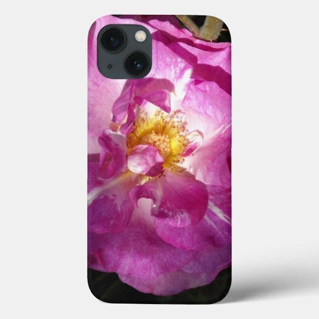 Rosa Rose Apple iPhone 8/7, selten dort Case-Mate iPhone Hülle (Rückseite)