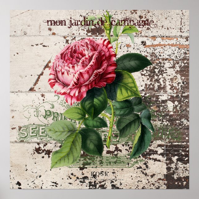 Rosa Rose auf rustikalem Holzpaneel Poster (Vorne)