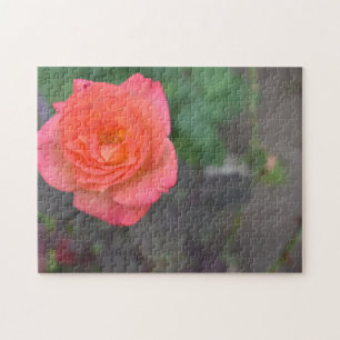 Rosa Rose Blumengarten Blumengarten Foto Puzzle