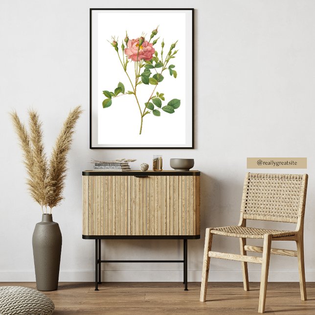 Rosa Rose Botanische Kunst drucken Poster (Von Creator hochgeladen)