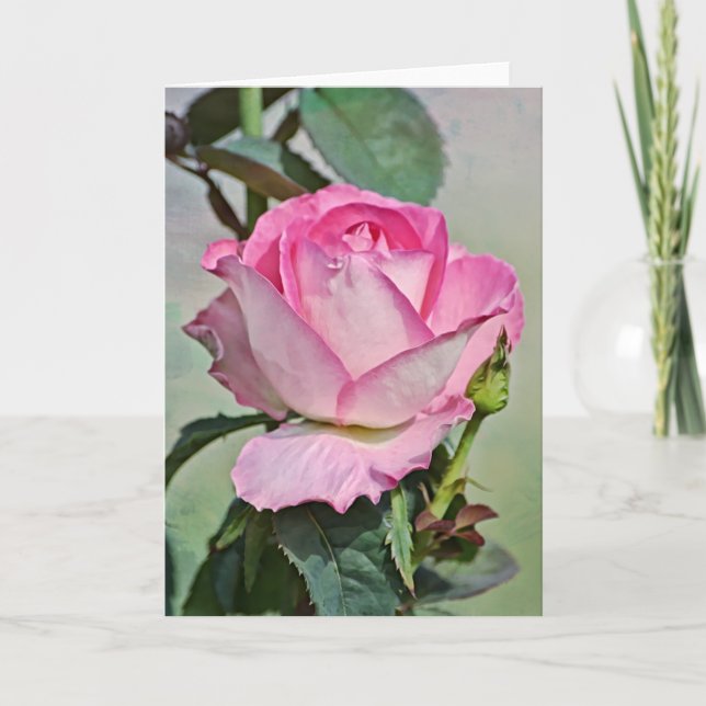Rosa Rose Budding Out Art Note Card Karte (Vorderseite)