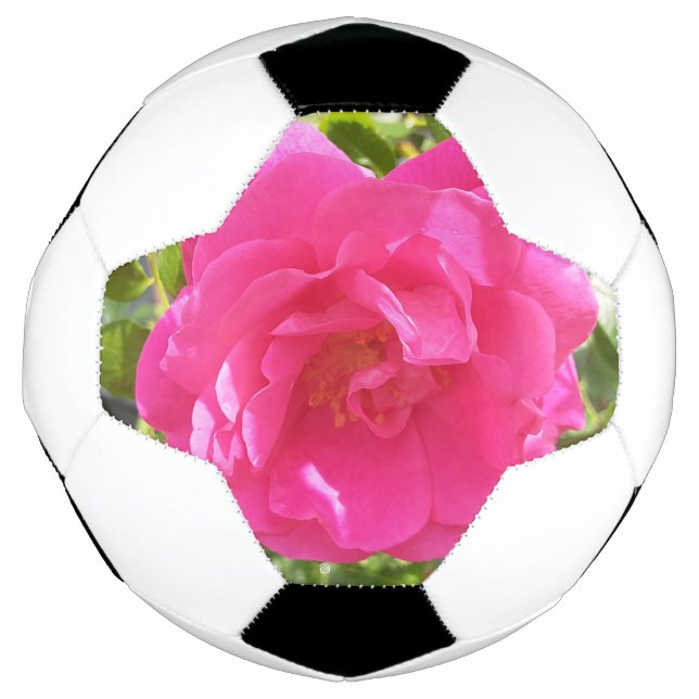 Rosa Rose Fußball (Vorderseite)