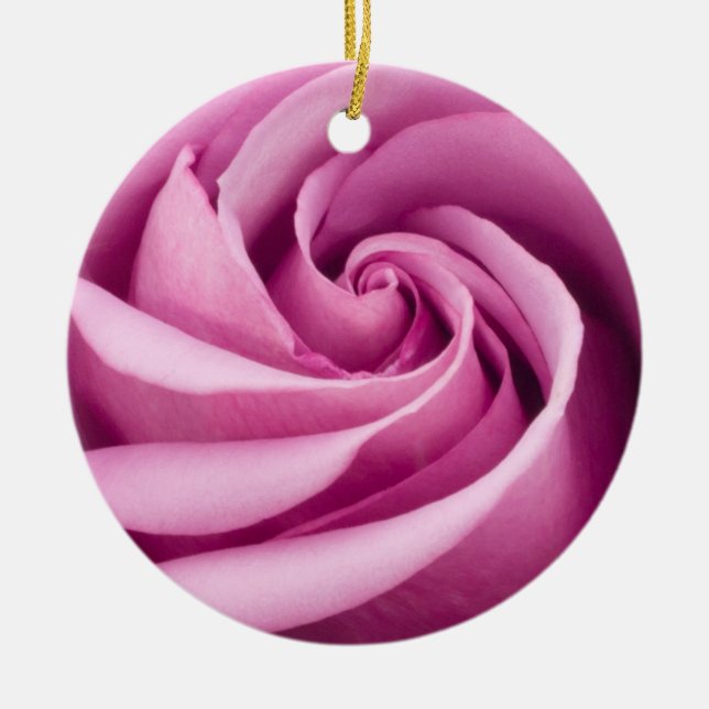Rosa Rose geklappt bis Perfektion Ornament (Vorne)