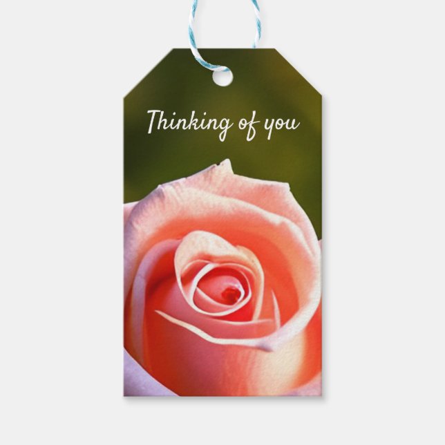 Rosa Rose Geschenkanhänger (Vorderseite)