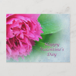 Rosa Rose glücklicher Valentinstag Feiertagspostkarte