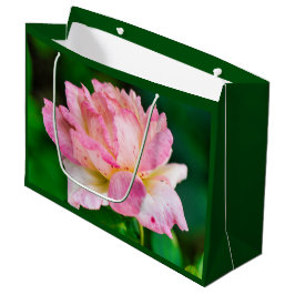 Rosa Rose Große Geschenktüte