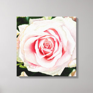 Rosa Rose Handgezeichnet Stift Kunstdrucken Leinwanddruck