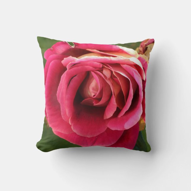 Rosa Rose im Garten Kissen (Vorderseite)