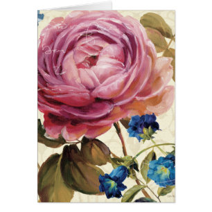 Rosa Rose in der vollen Blüte