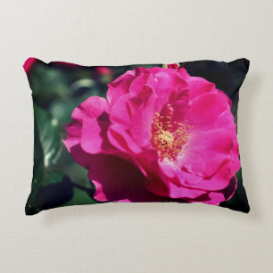 Rosa Rose in voller Blüte Nah Dekokissen