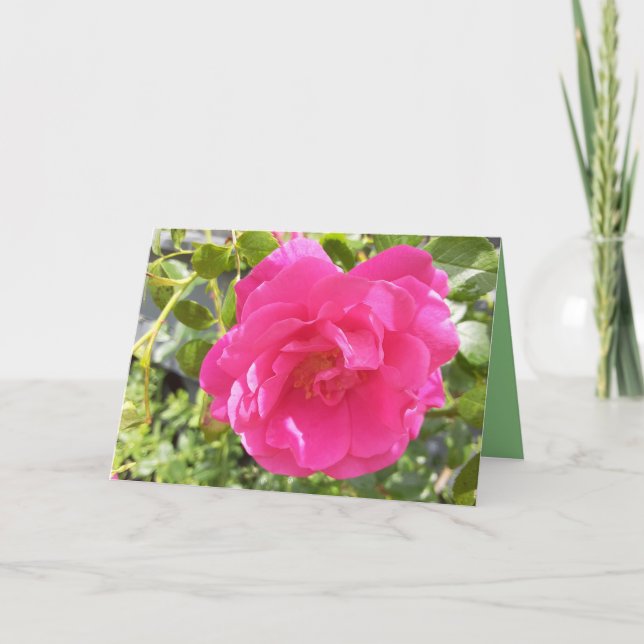 Rosa Rose Karte (Vorderseite)