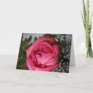 Rosa Rose Karte