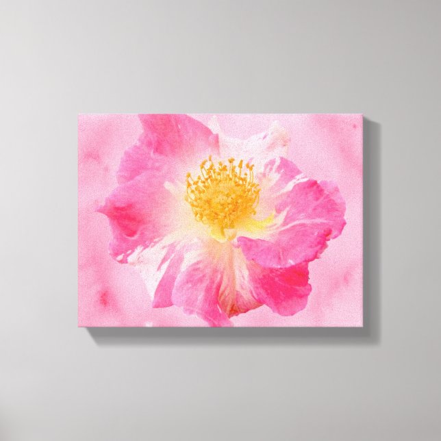 Rosa Rose Leinwanddruck (Vorderseite)