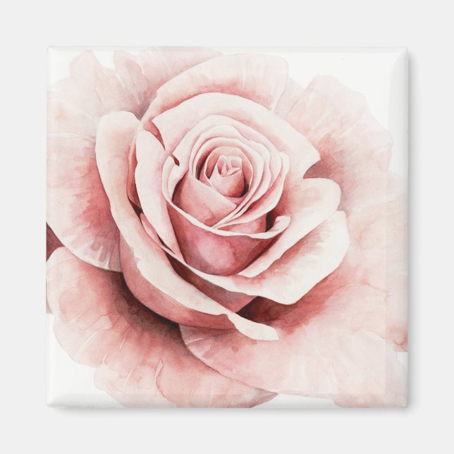 Rosa Rose Magnet (Vorne)