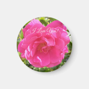 Rosa Rose Magnet