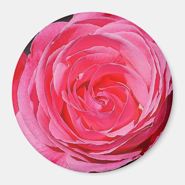 Rosa Rose Magnet (Vorne)
