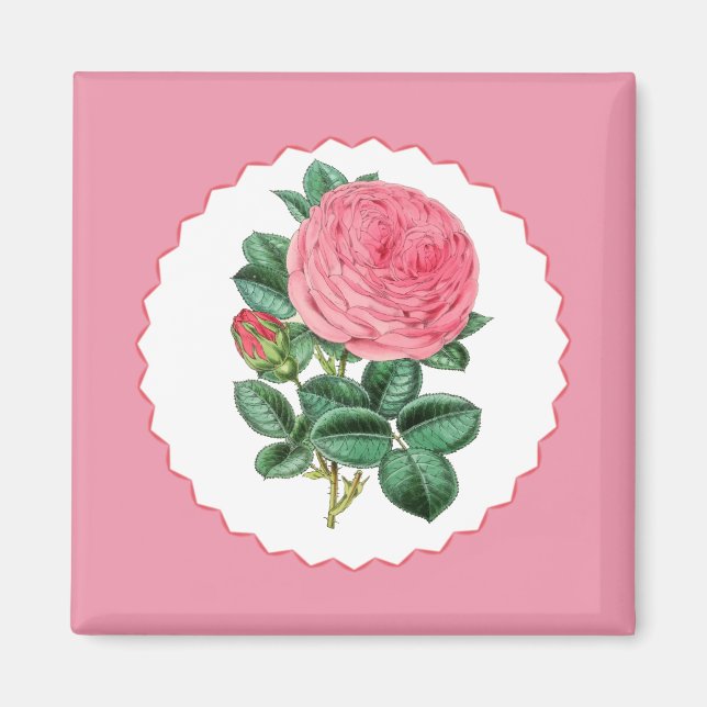 Rosa Rose Magnet (Vorne)