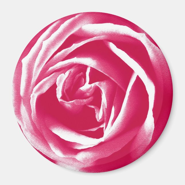 Rosa Rose Magnet (Vorne)