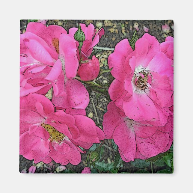 Rosa Rose Magnet (Vorne)