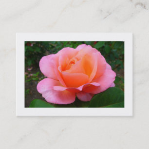 Rosa Rose, Mini-Foto Visitenkarte